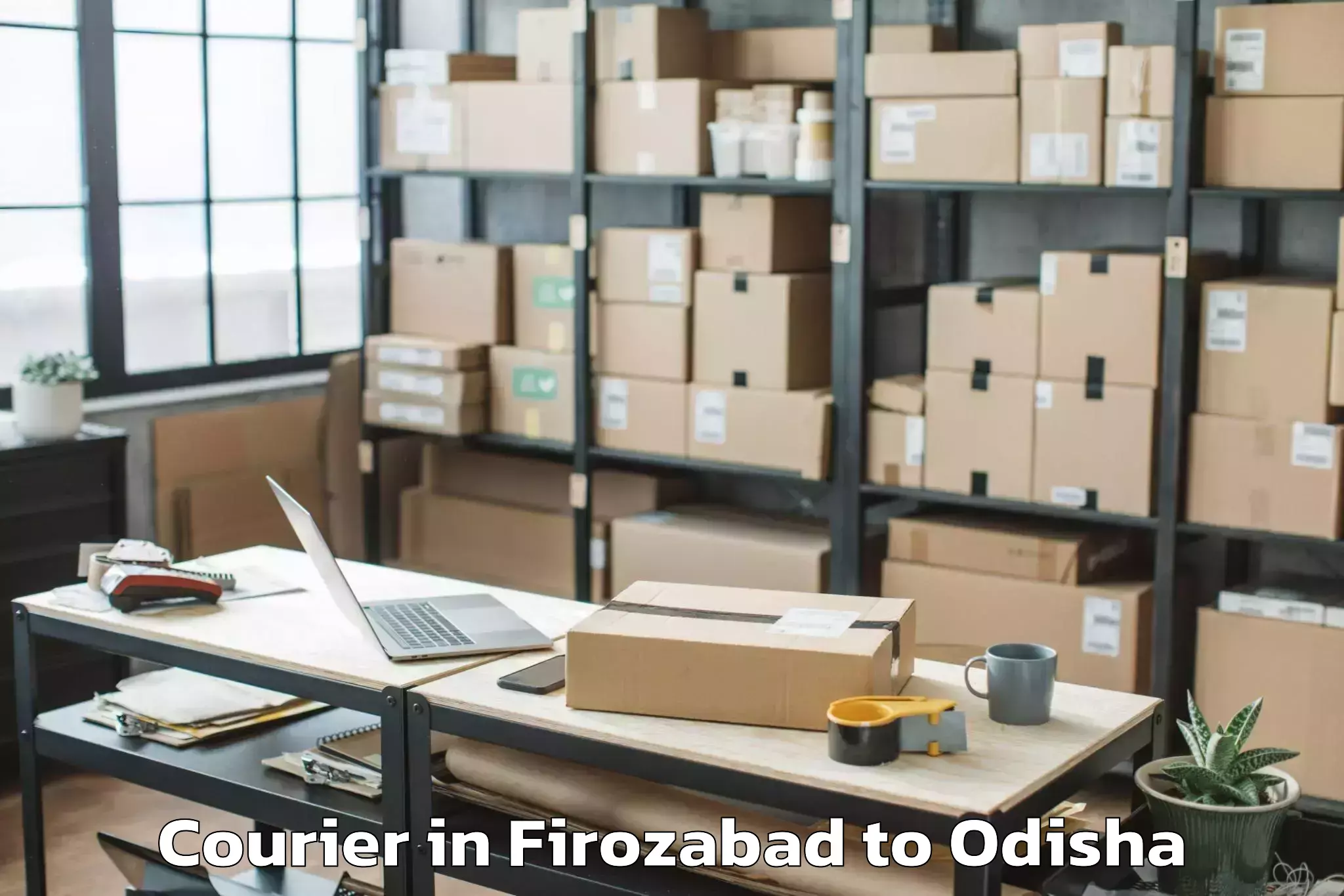 Trusted Firozabad to Raibania Courier